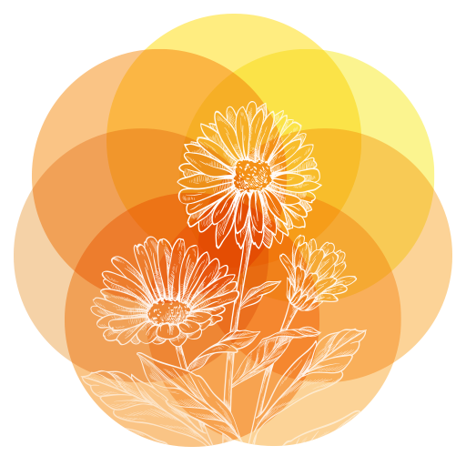 cropped-TRILHAS-SITE-ICON-512X512.png